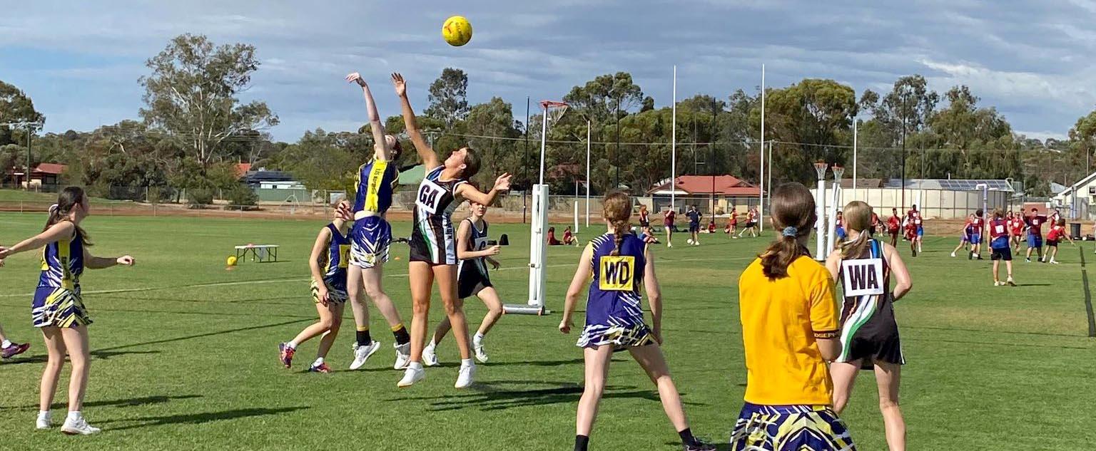 The WheatbeltGoldfields West Coast Fever Primary and High School Cups